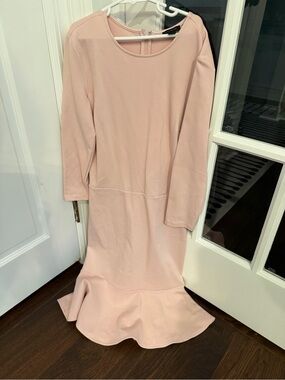 Ann Taylor Blush Pink Long-Sleeve Mermaid Hem Dress